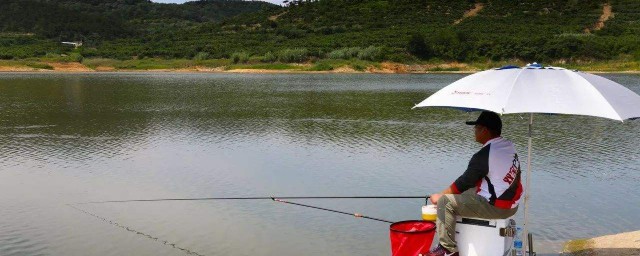 水庫垂釣技巧 怎麼更容易釣上魚