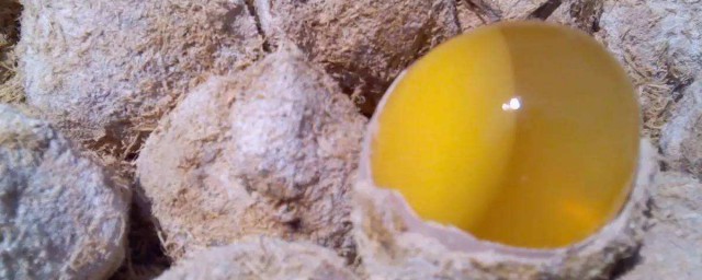 怎樣做變蛋 變蛋是什麼