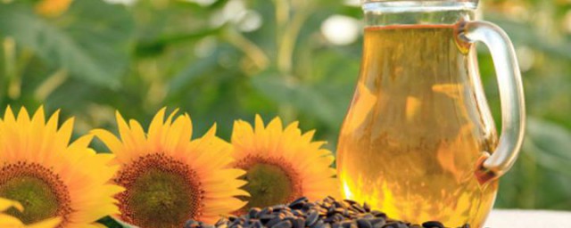 葵花籽油怎麼用才是正確的 如何吃葵花籽油