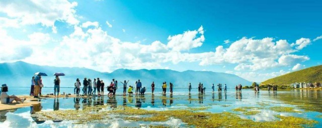 最適合去雲南的旅遊季節 具體什麼季節