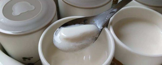 自制酸奶什麼時候放糖 有什麼技巧