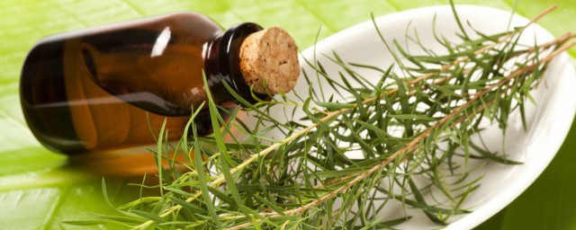 橄欖油的減肥方法 橄欖油的瘦身方法