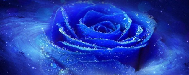 為什麼不能送藍玫瑰 不能送藍玫瑰的原因