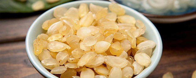 皂角米是什麼東西 皂角米的食用方法