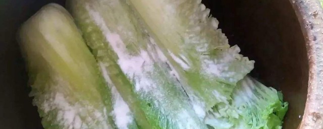 酸菜的泡制方法 酸菜的泡制方法是什麼