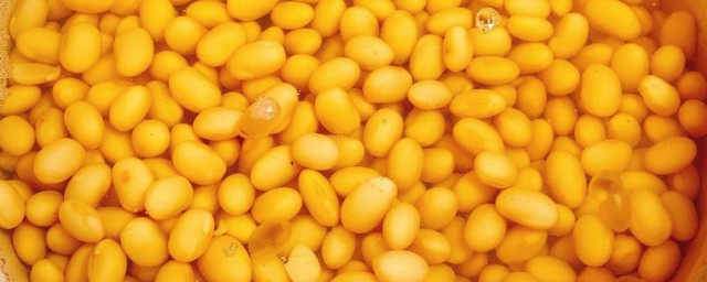 泡好的黃豆可以直接打豆漿嗎 瞭解一下