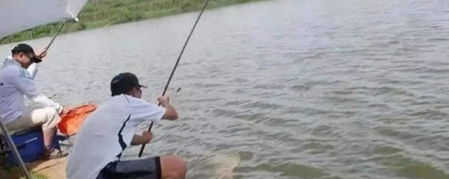 最簡便的釣魚方法 釣魚高手都這麼幹