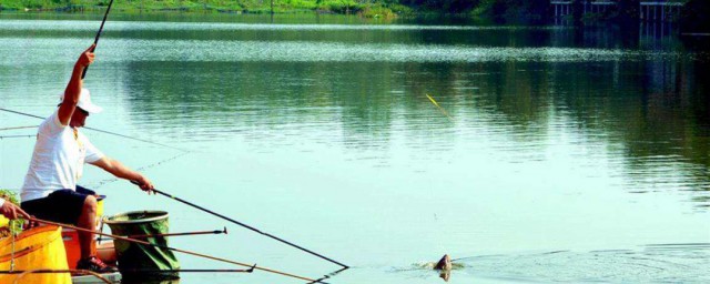 夏季野釣實用技巧 夏季野釣的4個實用技巧