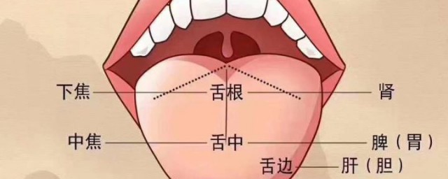 正確的刮舌苔方法 刮舌苔方法的方法
