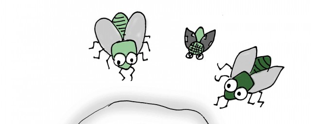 蒼蠅怎麼消滅簡單方法 怎麼消滅蒼蠅最快最有效