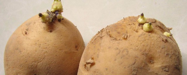 土豆是堿性還是酸性 土豆是堿性嗎