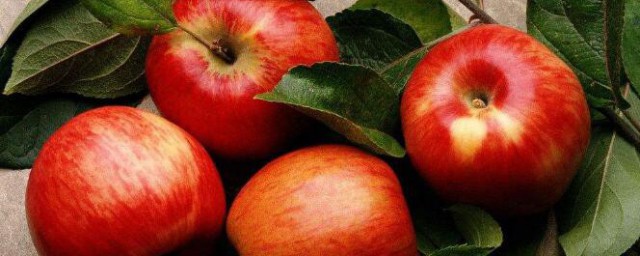 酸蘋果的功效和作用 酸蘋果的功效和作用有哪些