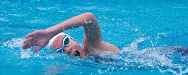 自由泳怎麼遊 自由泳遊的方法