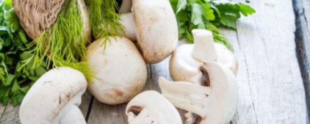 傢常炒蘑菇 蘑菇的營養價值