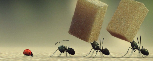 傢裡有螞蟻怎麼辦能除根嗎 傢裡有螞蟻解決方法