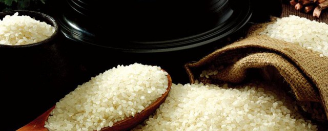 米裡生蟲子怎麼處理 米裡生蟲子解決方法