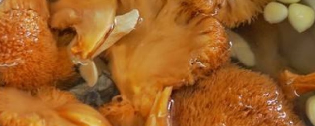 猴頭菇怎麼做好吃 猴頭菇的做法與步驟