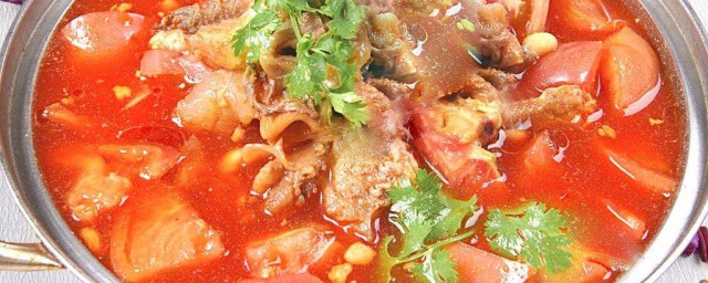 西紅柿牛腩湯的做法傢常做法 西紅柿牛腩湯做法