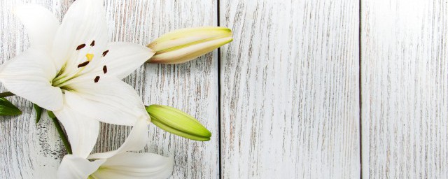 百合皺紋紙花制作方法 皺紋紙百合花教程是什麼