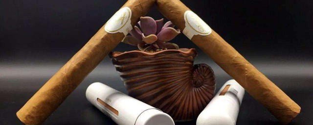 抽雪茄正確的吞吐方法 抽雪茄怎麼樣正確的吞吐