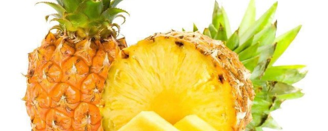菠蘿頂花種植的詳細方法 菠蘿頂花種植的詳細方法是什麼