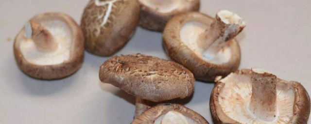 新鮮冬茹怎麼保存 新鮮冬菇可以冷藏保存