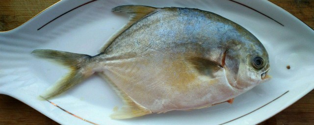 清蒸鯧魚怎麼做的 清蒸鯧魚做法