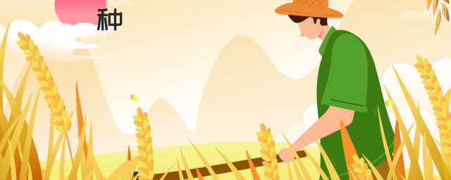 農田施肥的正確方法 農田施肥方法有哪些