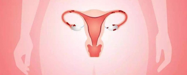 女人保養卵巢吃什麼 女人怎麼保養卵巢