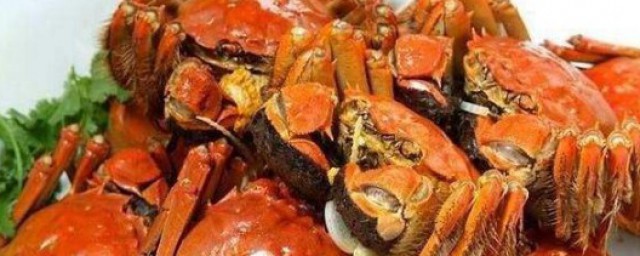 咖喱焗蟹怎麼做 蟹肉價值