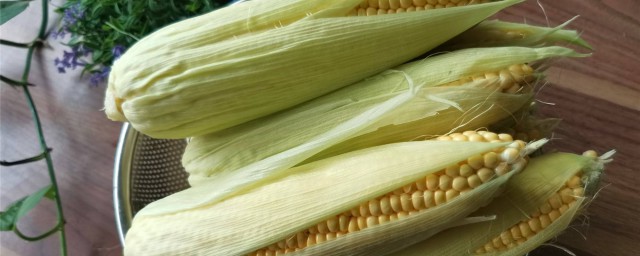 玉米怎麼保存長期不壞 怎麼保鮮呢