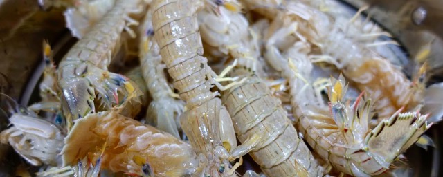 皮皮蝦蒸幾分鐘 皮皮蝦的營養價值
