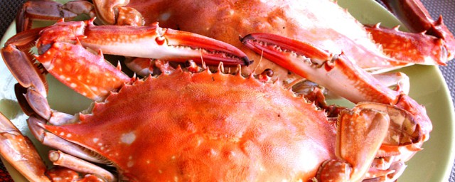 清蒸螃蟹怎麼做 美味清蒸梭子蟹做法超簡單
