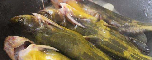 黃骨魚怎麼做好吃 簡單又好吃的黃骨魚做法介紹