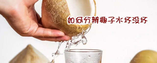 如何分辨椰子水壞沒壞 教你怎麼分辨椰子水的好壞