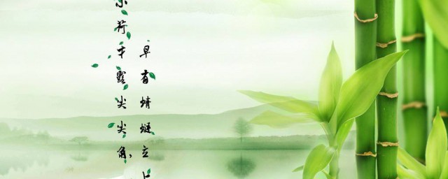 描寫竹子的優美句子 描寫竹子的優美句子分享