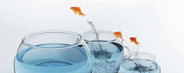 金魚缸怎麼選擇氧氣泵 有什麼選擇的技巧