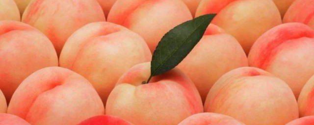 夏天桃子怎麼保存 夏天桃子保存的方法