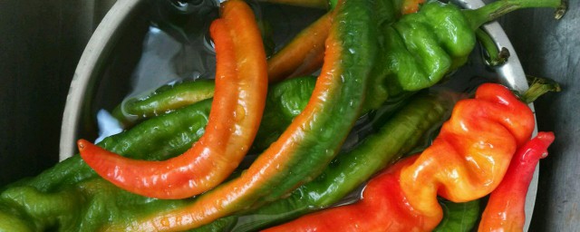 辣椒的醃制方法及步驟 辣椒的醃制方法
