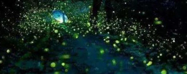 螢火蟲為什麼會發光呢 螢火蟲發光的原因