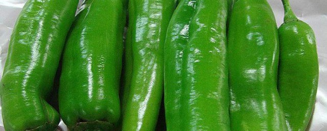 夏天怎樣保存青椒的保鮮方法 保存青椒的方法