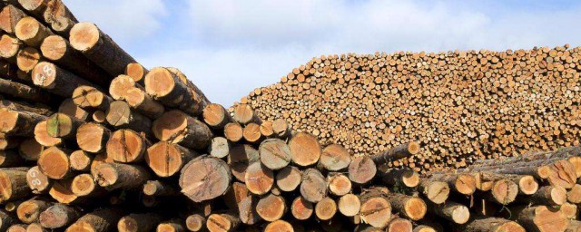 木材的密度是多少 關於木頭密度介紹