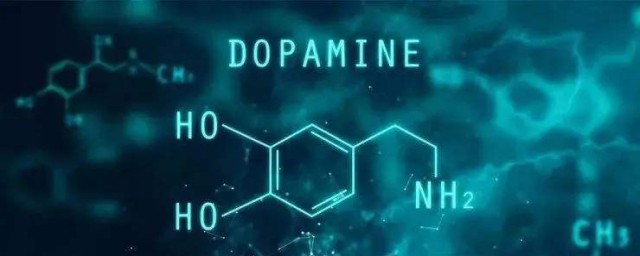 多巴胺是什麼東西 多巴胺介紹