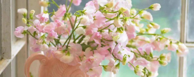 鮮花怎麼保存更長 鮮花保存方法介紹