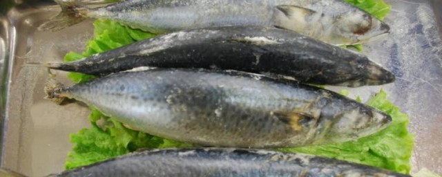 巴巴魚的營養價值主要對什麼有好處 巴巴魚的營養價值有哪些