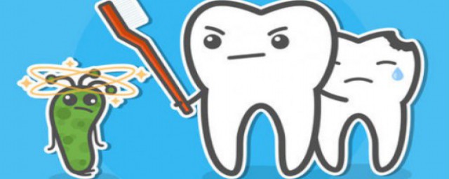 全國愛牙日手抄報內容 關於牙齒的介紹