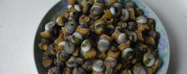 菜螺的養殖方法 菜螺的養殖方法介紹