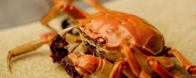 死瞭的螃蟹吃瞭會怎樣 是什麼原因呢