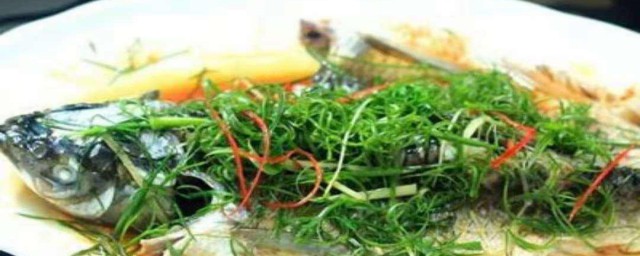 草魚怎樣做好吃 草魚的做法