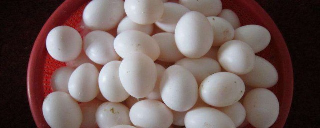 鴿子蛋怎麼吃最有營養 鴿子蛋最有營養的吃法